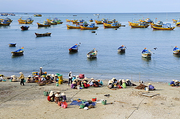 Women in the fish market, in the back colorful wooden fishing boats, beach of Mui Ne, Vietnam, Asia