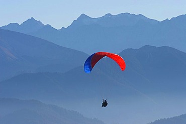 Paraglider in the Bavarian pre-Alps region Brauneck, Lenggries, Bavaria, Germany