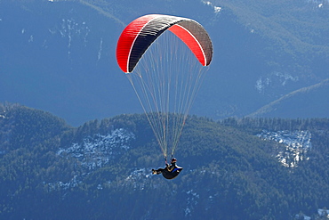 Paraglider on Mt. Brauneck, Lenggries, Upper Bavaria, Bavaria, Germany, Europe,