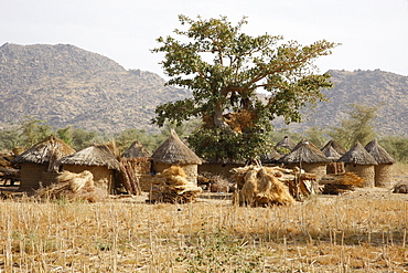 Village with round huts near Mora, Cameroon, Africa