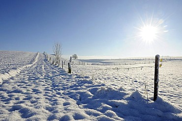 Snow covered field road near Muensing, Upper Bavaria, Bavaria, Germany