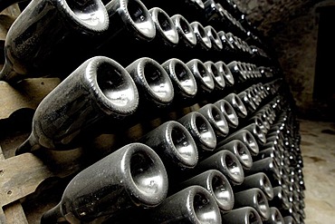 Wine cellar in Modra, Slovakia, Eastern Europe