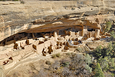 Historic buildings in the Ancestral Puebloans, entire Cliff Palace complex, Mesa Verde National Park, Colorado, USA