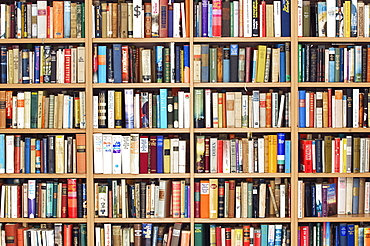 Large full bookcase, second hand bookshop, fiction