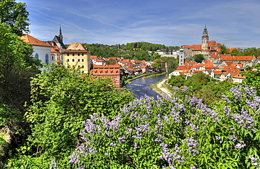 View of the historic town and Vltava river, with tower of Cesky Krumlov castle, Cesky Krumau, UNESCO World Heritage Site, Bohemia, Czech Republic, Europe