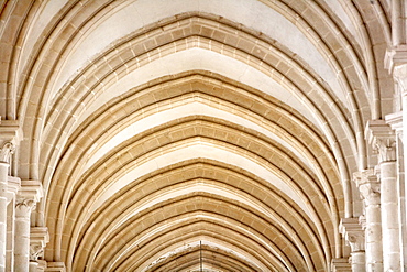 Nave, Mosteiro de Santa Maria de Alcobaca, Alcobaca, Leiria, Portugal, Europe