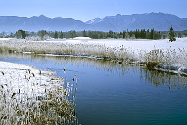 Staffelsee Ache lake in Uffing, winter, moss, Estergebirge mountains, Upper Bavaria, Bavaria, Germany, Europe