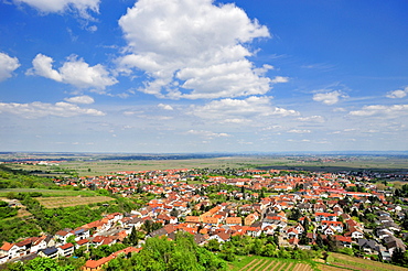 Panoramic view from Wachtenburg castle on Wachenheim and the Rhine Valley, Wachenheim, Naturpark Pfaelzerwald nature reserve, Palatinate, Rhineland-Palatinate, Germany, Europe