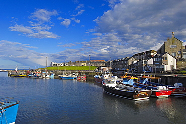 Fishing boats in harbour, seahouses, Northumberland, England, UK, Europe