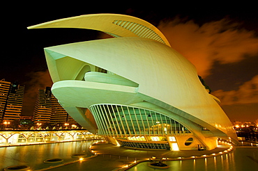 Palace of Arts Reina Sofia, by S. Calatrava, City of Arts and Sciences, Comunidad Valenciana, Valencia, Spain, Europe