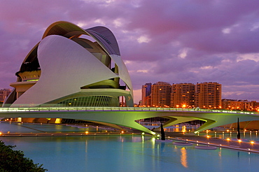 Palace of Arts Reina Sofia, City of Arts and Sciences, Comunidad Valenciana, Valencia, Spain, Europe