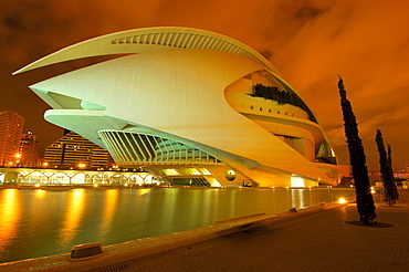 Palace of Arts Reina Sofia, by S. Calatrava, City of Arts and Sciences, Comunidad Valenciana, Valencia, Spain, Europe