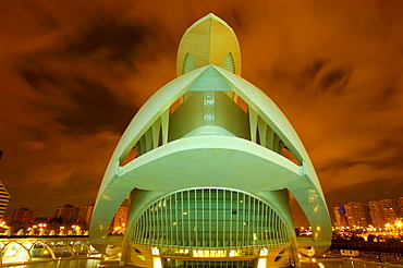 Palace of Arts Reina Sofia, by S. Calatrava, City of Arts and Sciences, Comunidad Valenciana, Valencia, Spain, Europe