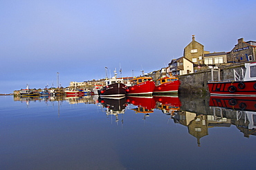 Fishing boats in harbour, Seahouses, Northumberland, England, United Kingdom, Europe