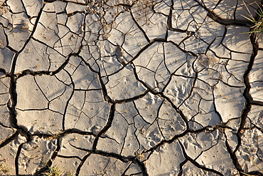 Dried soil in a pond bed