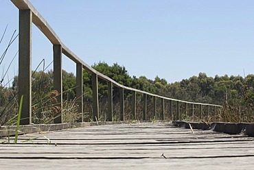 Wooden path, River and Heritage Trail, Sale Common, Gippsland, Victoria, Australia