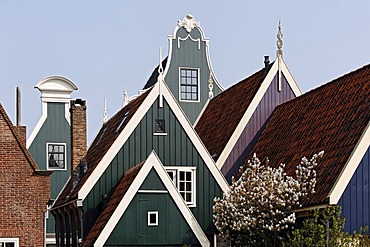 Typical wooden houses from the 17th century, roofs, historic city De Rijp near Alkmaar, Province of North Holland, Netherlands, Europe