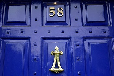 Merrion Square door, Dublin, Ireland