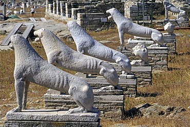 The Lion Terrace, Delos, Cyclades, Greece