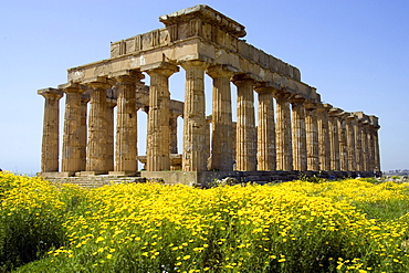 Ancient Greek Temple, archaeological site, Selinunte, Sicily, Italy, Europe