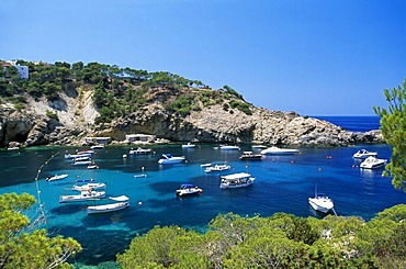 Sailing boats in Cala Vadella, Ibiza, Balearic Islands, Spain