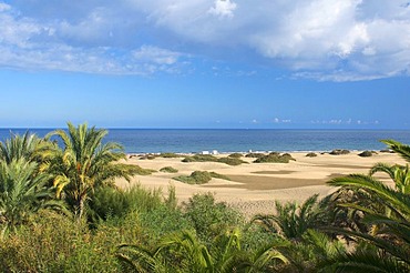 Sand dunes of Maspalomas, Grand Canary, Canary Islands, Spain