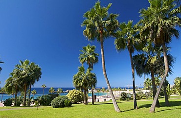 Playa Amadores Beach in Puerto Rico, Grand Canary, Canary Islands, Spain