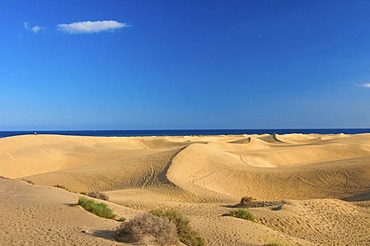 Sand dunes of Maspalomas, Gran Canaria, Canary Islands, Spain