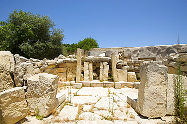 Tarxien Temples near Valletta, Malta, Europe