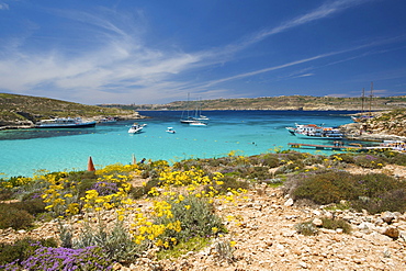 Blue Lagoon of Comino, Malta, Europe