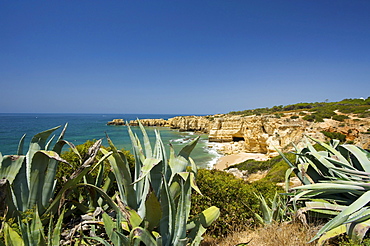 Praia de Coelho, Algarve, Portugal, Europe