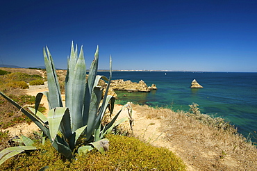 Praia Dona Ana near Lagos, Algarve, Portugal, Europe