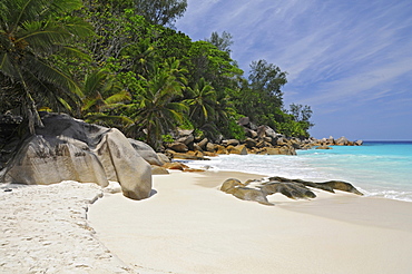 Beach with granite rocks and tropical vegetation, Anse Georgette, Praslin Island, Seychelles, Africa, Indian Ocean