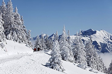 Winter landscape with walkers, Wank mountain in the Estergebirge mountain range, near Garmisch-Partenkirchen, Werdenfelser Land, Upper Bavaria, Bavaria, Germany