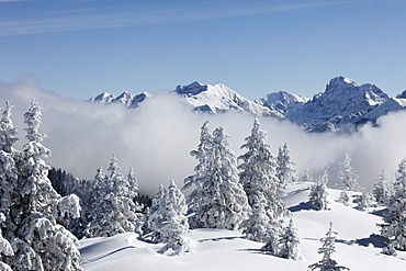 Winter landscape, Wank mountain near Garmisch-Partenkirchen, in the back the Karwendelgebirge mountain range, Werdenfelser Land, Upper Bavaria, Bavaria, Germany