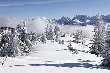 Winter landscape, Wank mountain near Garmisch-Partenkirchen, in the back the Wettersteingebirge mountain range, Werdenfelser Land, Upper Bavaria, Bavaria, Germany