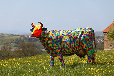 Colorful painted life-sized cow model, Mostviertel region, Lower Austria, Austria, Europe