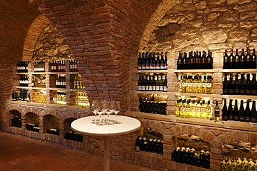 Vinotheque wine cellar in the Schloss Mailberg castle, Weinviertel region, Lower Austria, Austria, Europe