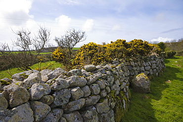 Carn Euny iron age courtyard, house, settlement, Brane, Sancreed, West Penwith, Cornwall, England, United Kingdom, Europe