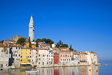 Rovinj historic centre with Saint Euphemia's basilica, seen from Valdibora, Rovinj, Istria, Croatia, Europe