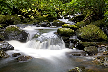 Waterfall in Killarney National Park, Killarney, County Kerry, Munster, Ireland, Europe