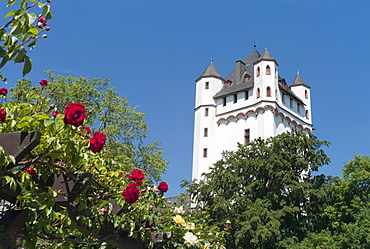 Electoral castle of the archbishops of Mainz, Eltville, Hesse, Germany, Europe