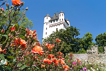 Electoral castle of the archbishops of Mainz, Eltville, Hesse, Germany, Europe