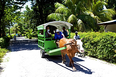 Oxcart, La Digue Island, Seychelles, Indian Ocean, Africa