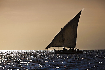 Arabian Dhow on the coast of Zanzibar, Tanzania, Africa