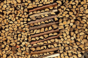 Piled up fire wood, Buch, Nuremberg, Franconia, Bavaria, Germany,