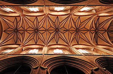 Gothic vaulted ceiling of St. Nicholas Church, Lueneburg, Lower Saxony, Germany, Europe