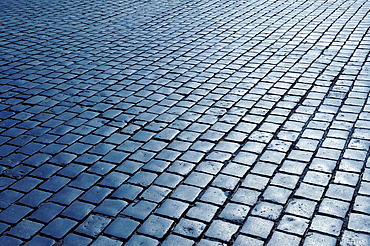 Cobblestones in backlight on the main market, Nuremberg, Middle Franconia, Bavaria, Germany, Europe