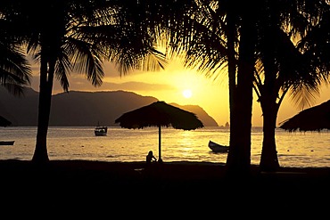 Sunset under palm trees, Playa Medina beach on the Caribbean coast near Carupano, Sucre, Venezuela, Caribbean Sea, South America