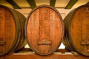 Oak barrels in old port wine cellar